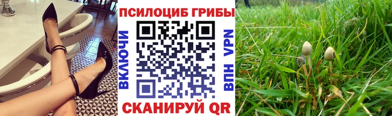 маркетплейс официальный сайт  Петропавловск-Камчатский  Псилоцибиновые грибы Magic Shrooms 